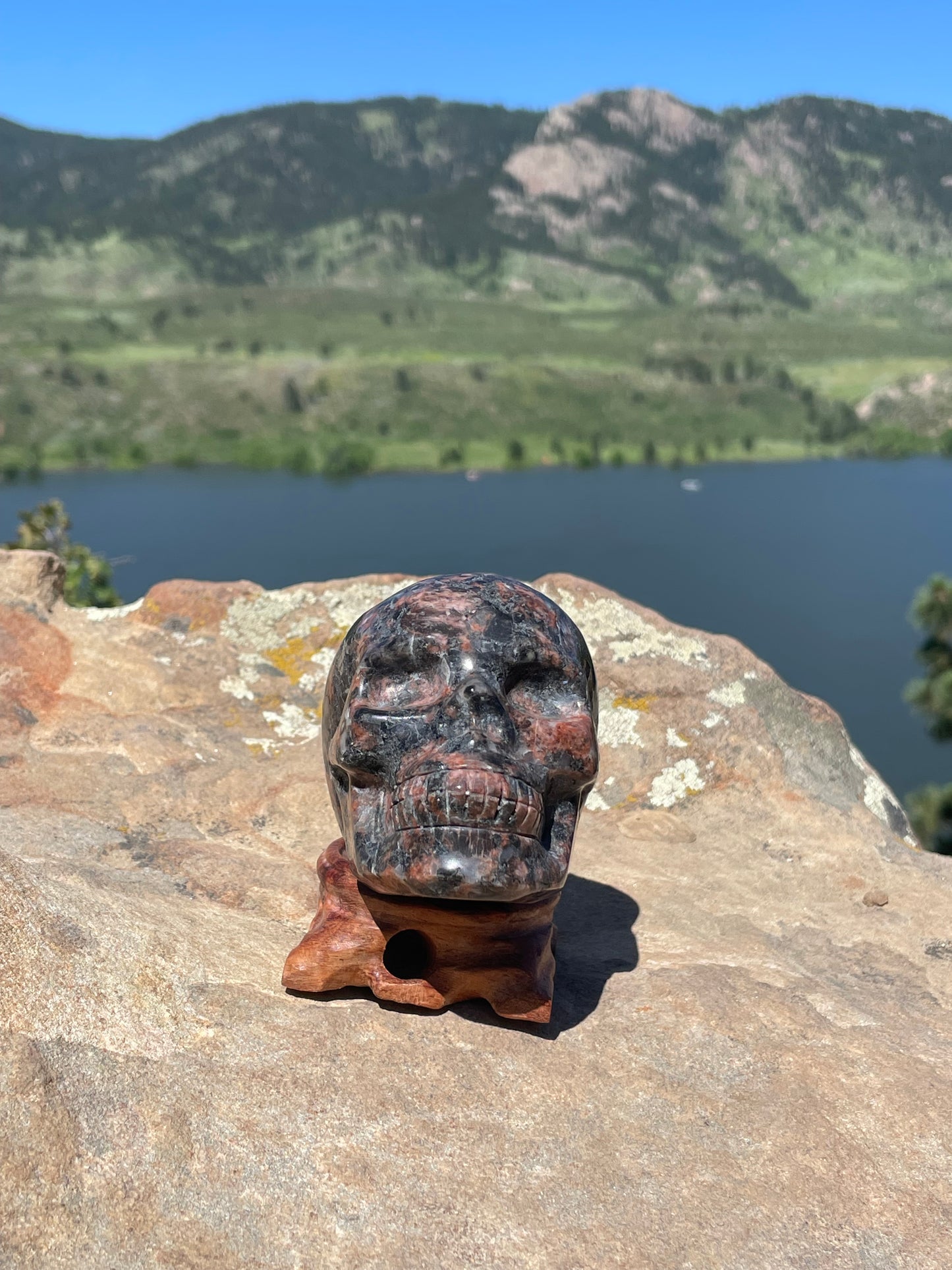 Rhyolite Skull