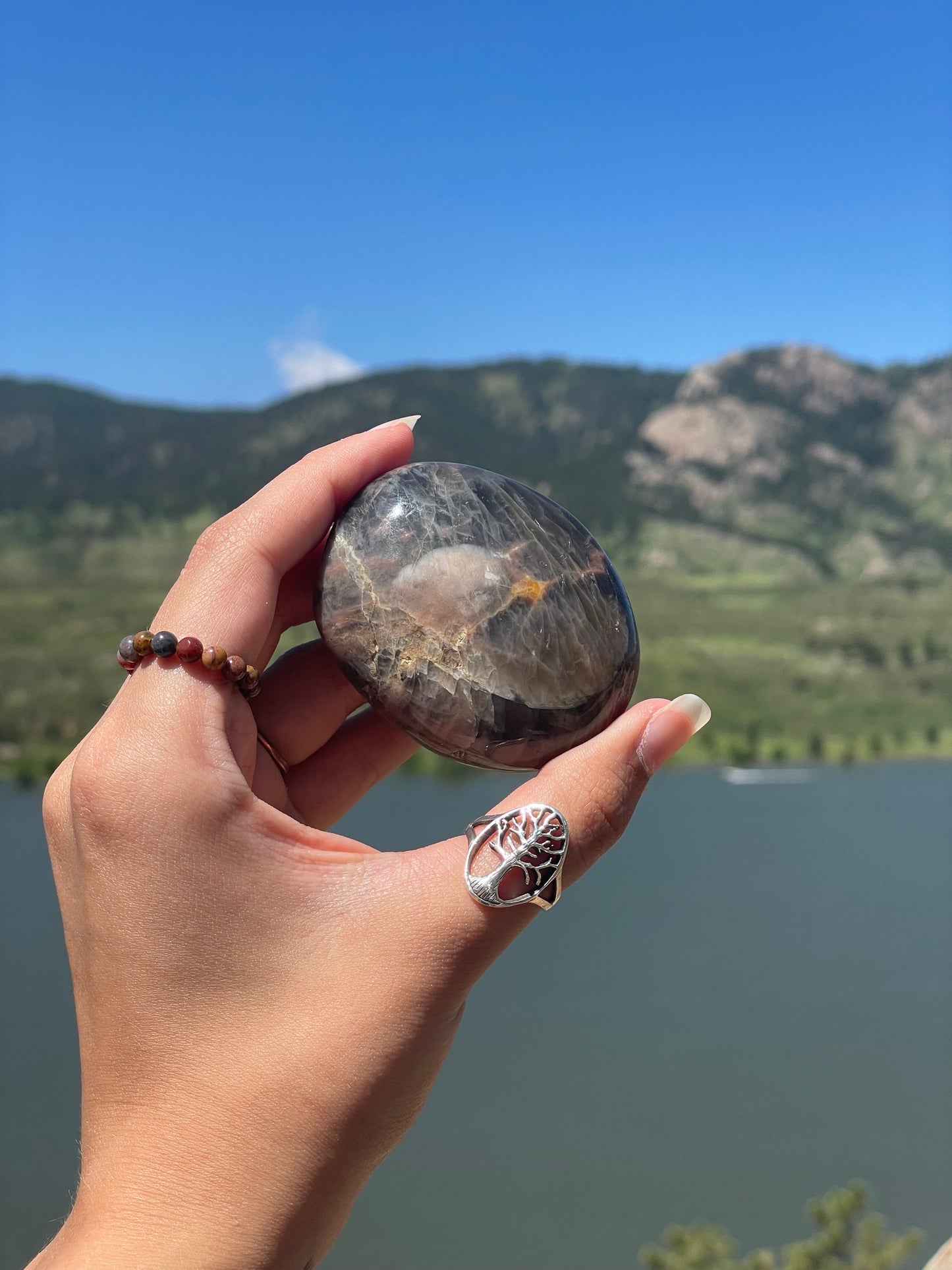 Black Moonstone Palm Stone