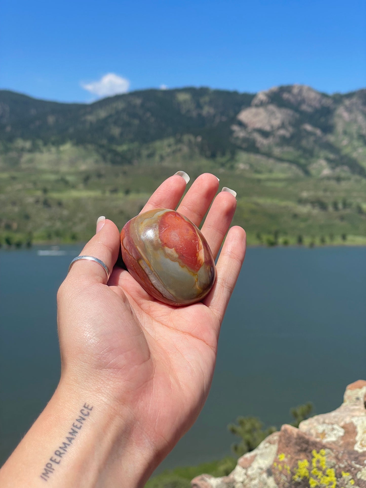 Polychrome Jasper Palm Stone